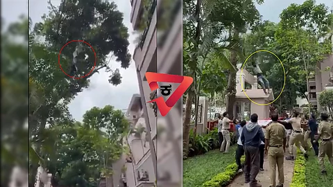 An attempt to pluck jackfruit ended in a 50-foot fall for a man