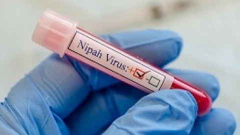 Kerala Confirms Another Nipah Case