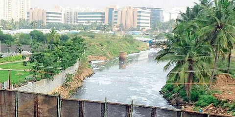Varthur lake (File Image)