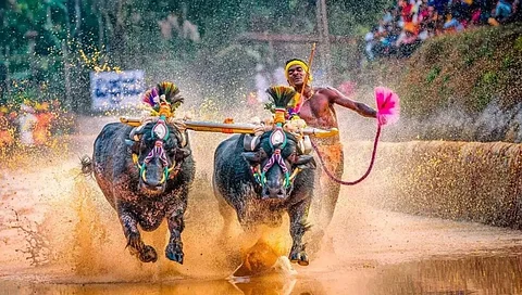 ಸಂಗ್ರಹ ಚಿತ್ರ