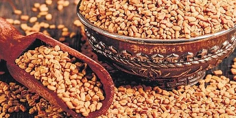 ಮೆಂತ್ಯ ಬೀಜ