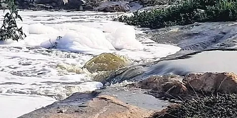 ಹೊಸಕೆರೆ ಕೆರೆಯಲ್ಲಿ ನೊರೆ ಸಮಸ್ಯೆ ಚಿತ್ರ
