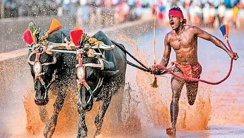 ಸಾಂದರ್ಭಿಕ ಚಿತ್ರ