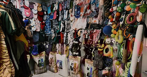 Top Pet Shops In Kanpur To Pamper Your Fur Babies With The Best!