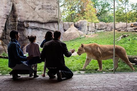 10 additional animals from Gujarat's Van Tara Zoo were brought to Kanpur Zoological Park