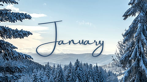 special days in January 2026 calendar