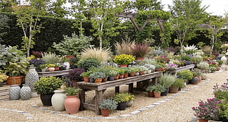 Kanpur’s top plant nurseries