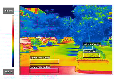 Lighter-coloured roads, ground and tree cover can have a big impact on the amount of radiant heat released from surfaces, as this thermal image of a Darwin streetscape shows.