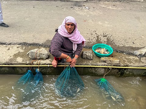 A fisher woman with her catch at a stream near lakeside market in Bandipora.