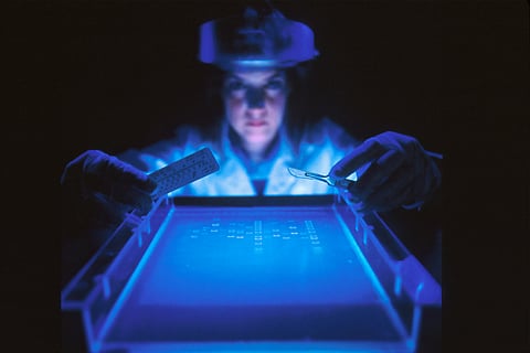 Scientist at work in cancer lab. New cancer screening methods that make early detection easier are emerging from labs.