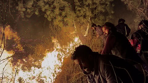 Villagers and volunteers trying to bring forest fire under control through primitive methods in South Kashmir.