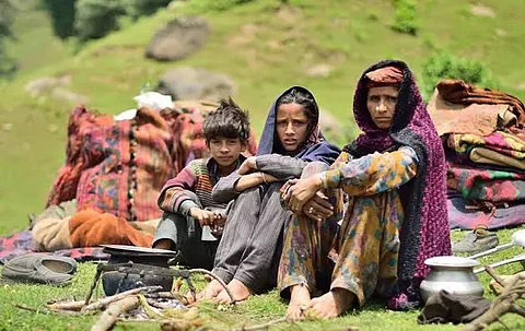A representative photo of a nomadic family of Gujjar and Bakerwal in Jammu and Kashmir.