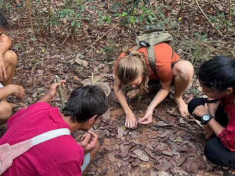 Milla inspecting the forest floor for fungi in Auroville, Tamil Nadu.