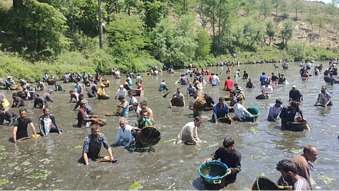 Villagers from across Anantnag district in South Kashmir gather knee-deep in the spring waters of Panzath Nag during the annual Gaade Maar festival, using wicker baskets to catch fish and clean the sacred water bodies as part of a centuries-old community tradition.