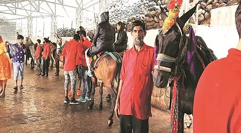 Gujjar and Bakerwal ponywallahs including Mohammad Munshi has been ferrying pilgrims on his pony Channu since he was 14 on Vaishno Devi pilgrimage route.