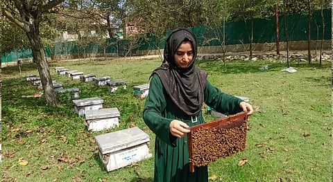 The future of agriculture in Jammu & Kashmir is diverse, digital, and driven by passionate leaders. Honored to be cultivating change from the ground up, women entrepreneurs are part of this field.