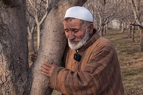 Protesting against a railway project that threatens his lifetime of hard work and livelihood, a fruit grower hugs his apple tree, his eyes moist in South Kashmir.