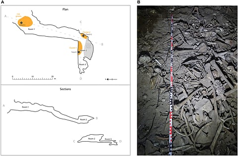 The Old Lady Spider Cave. (A) Plan and section of the cave, drawn from a previously unpublished point cloud shared with permission by D. Rosati. Orange shading shows where human remains were found, while gray shading shows a part of the cave covered by a roof collapse. (B) Previously unpublished photograph of bones in room 2, taken by the authors during the excavation.
