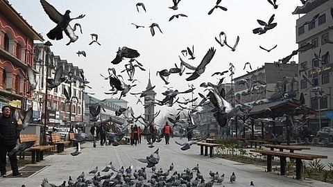 The Supreme Court upheld the abrogation of Article 370, which granted special status to Jammu and Kashmir, in its verdict on 11 December 2023.
