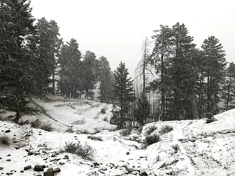 Thick blanket of snow covers the hills around Tangmarg, a hill town in Baramulla district of Jammu and Kashmir on Sunday, December 17, 2023. KT Photo/Sajad Ahmed