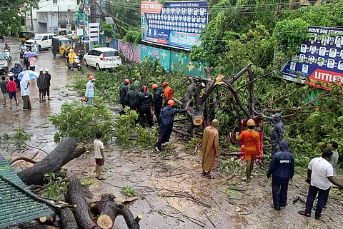 Members of Andhra Pradesh State Disaster Response Force (APSDRF) cut the branches off a fallen tree after Cyclone Michaung made landfall, in Nellore district, in the southern state of Andhra Pradesh, India, December 5, 2023. REUTERS/Stringer
