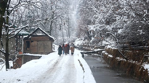 A View of snow-covered houses and trees amid first snowfall in Tangmarg on Wednesday, January 31, 2024.