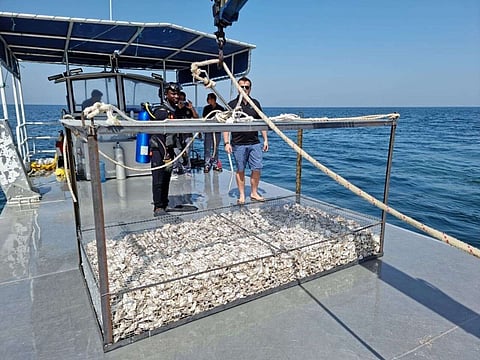 تشجيع الممارسات المبتكرة القائمة على التكنولوجيا