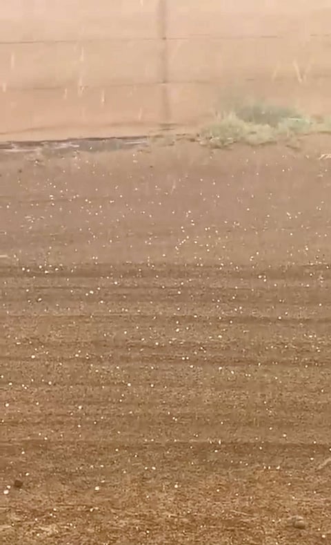 أمطار غزيرة
لقطة شاشة: مركز العاصفةX