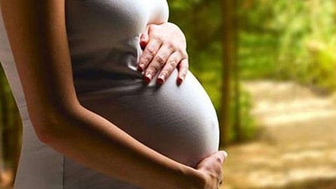 خدمات متعددة للأسرة الإماراتية