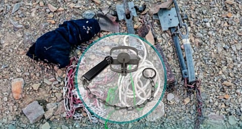 معدات الصيد المصادرة