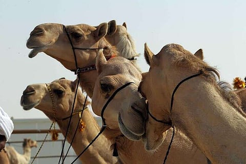 الحفاظ على الثروات الطبيعية