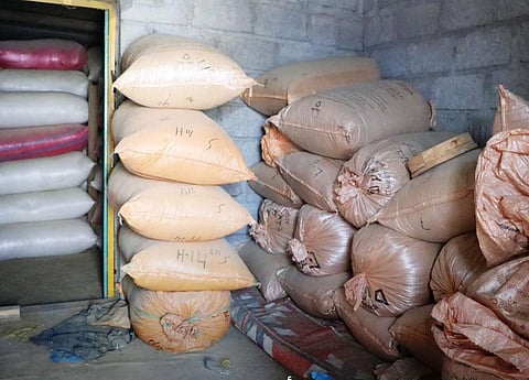 كميات التبغ المضبوطة