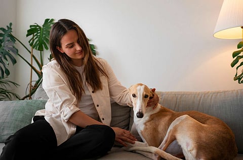 لا يعتبر الجميع تربية الحيوانات الأليفة تجربة مريحة