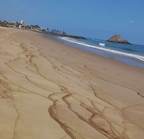 تنظيف سريع للشاطئ