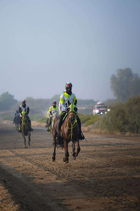 لقطة من السباق.