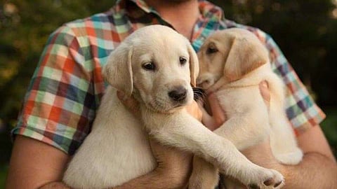 تعلم الأحداث مهارات الحياة مثل بناء الصداقات