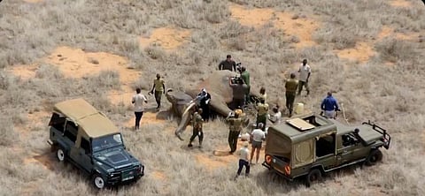 نفذت العملية على مدار 14 يوماً