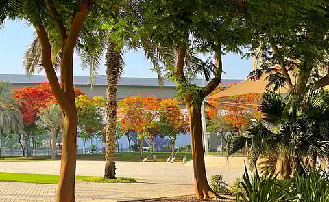 إشراك جميع فئات المجتمع في الأنشطة الزراعية