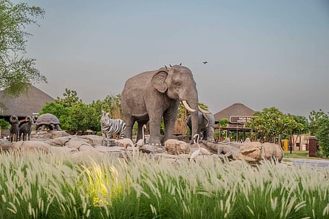 رحلات السفاري الليلية في دبي تتيح رؤية أكثر من 90 نوعاً من الحيوانات