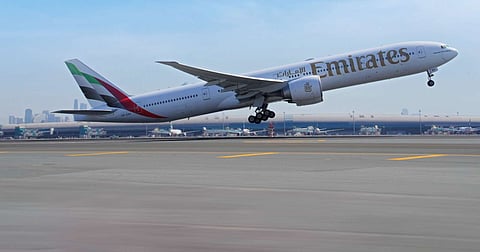 كشفت أدلة مهمة عن العلاقة بين نقل جلود الحمير والاتجار غير المشروع في الحياة البرية والجريمة المنظمة