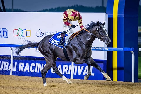 تم توسيع البرنامج الدولي في عام 2023 ليشمل كل سباقات مضمار ميدان. — الصورة المرفقة