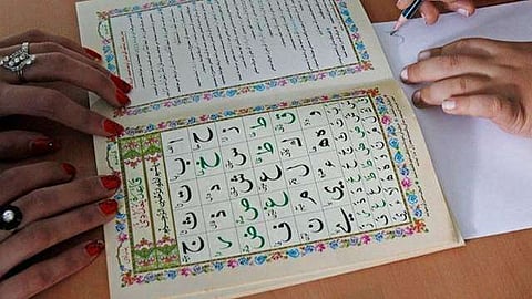 تعلم اللغة العربية مفتاح لفهم ثقافي أعمق