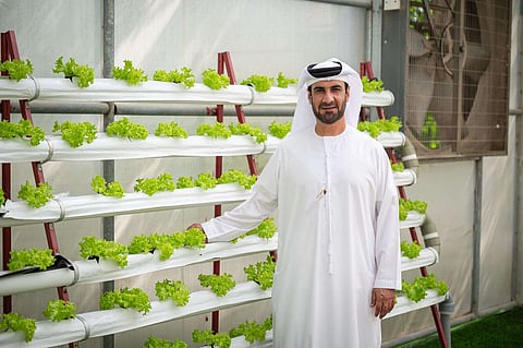 حسين الحوسني