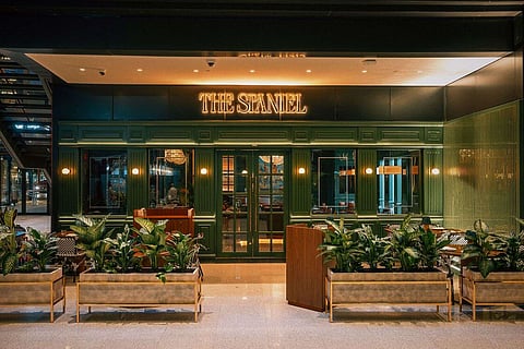 "ليلة الغموض في ذا سبانييل"