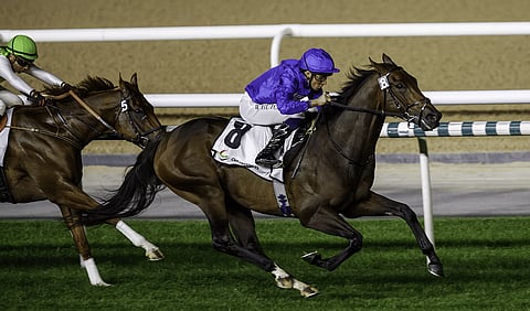 "ميدان" يستقبل عشاق الخيل بسباقات مثيرة في عيد الحب