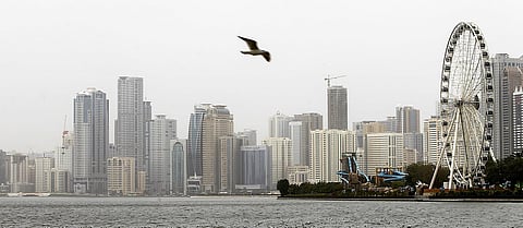 قانون جديد بالشارقة