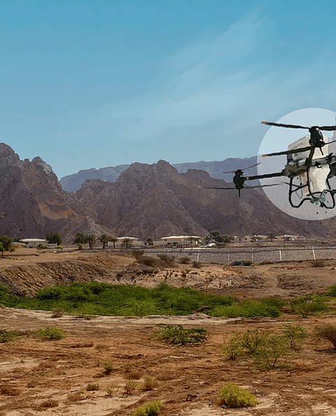 أبوظبي: طائرات"درون" تنثر 6.5 مليون بذرة لتعزيز الحياة البرية