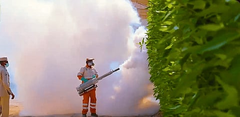 الشارقة تكافح النباتات الضارة والآفات في مصليات العيد