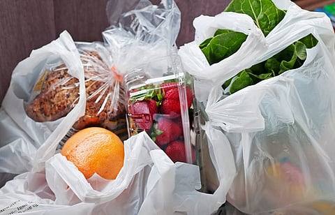 الإمارات: حظر البلاستيك أحادي الاستخدام يبدأ 2026