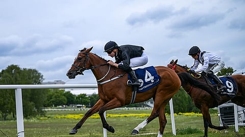 "فريدة بي" تتوج بطلة لكأس رئيس الدولة للخيول العربية الأصيلة في السويد للمرة الثانية